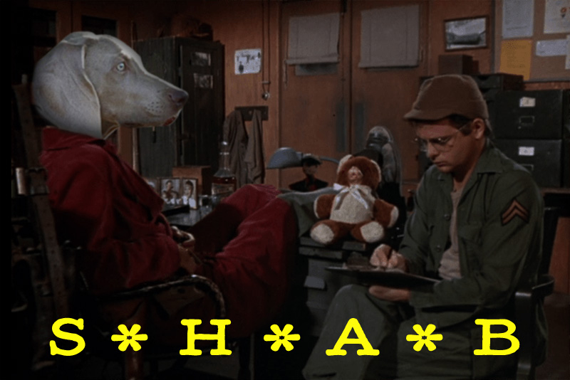 Shabby's head on the body of Hawkeye from the TV show M*A*S*H sitting near Radar who has his head down