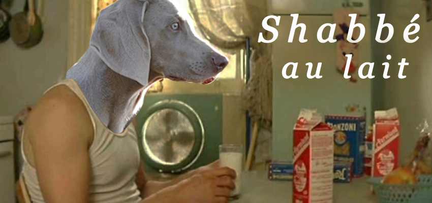 Shabby's head on the body of Leon The Professional while he is drinking milk