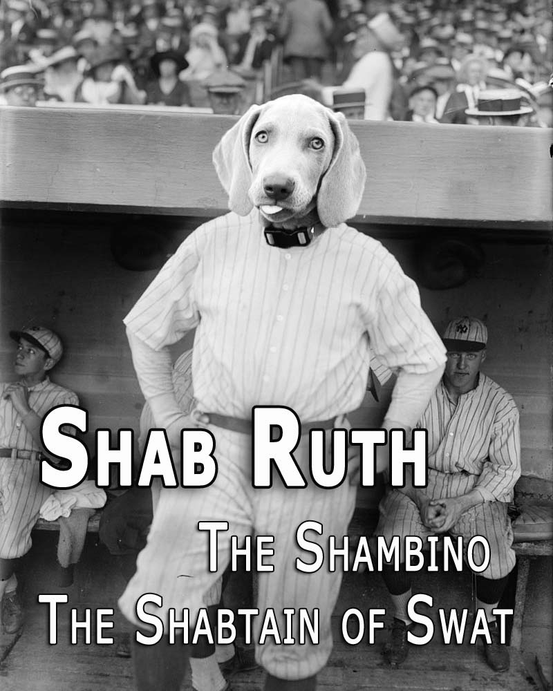 Shabby's head on Babe Ruth's body