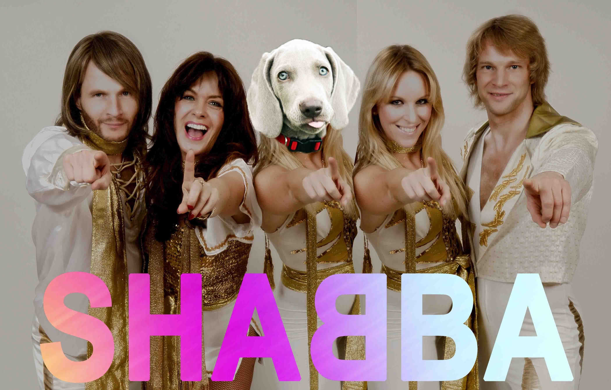 Shabby's head on a body in white 70s clothing, between the other similarly-dressed members of the group ABBA