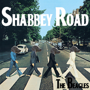 Shabby's head on each member's body of the Beatles on the album cover for Abbey Road