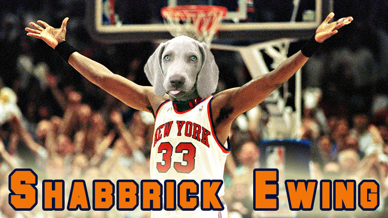 Shabby's head on Patrick Ewing's body