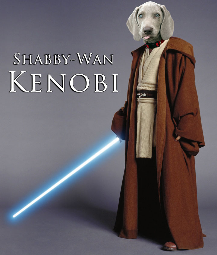 Shabby's head on Obi-Wan Kenobi's body