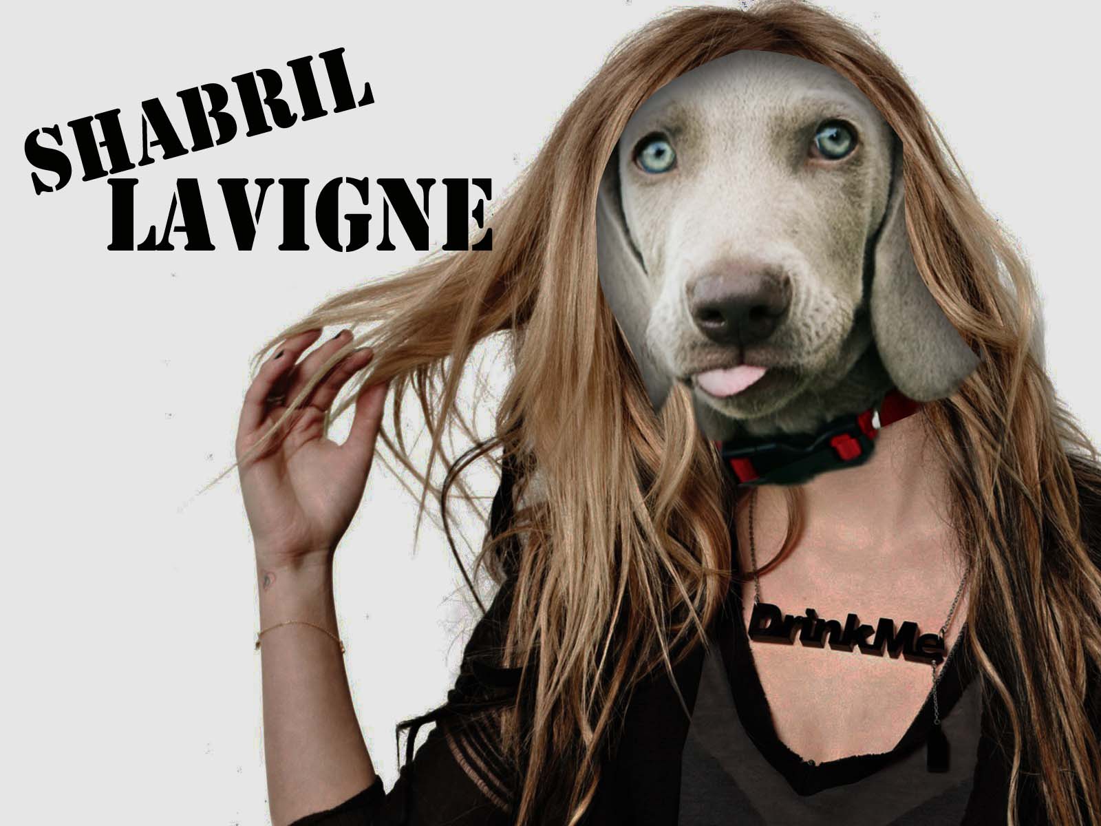 Shabby's head on Avril Lavigne's body