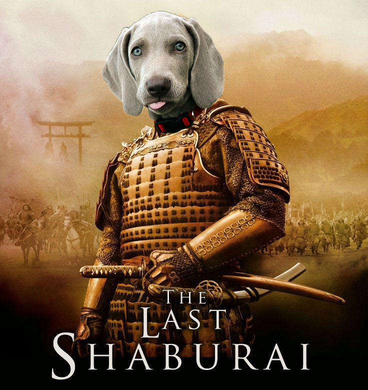 Shabby's head on the main character's body from the film The Last Samurai