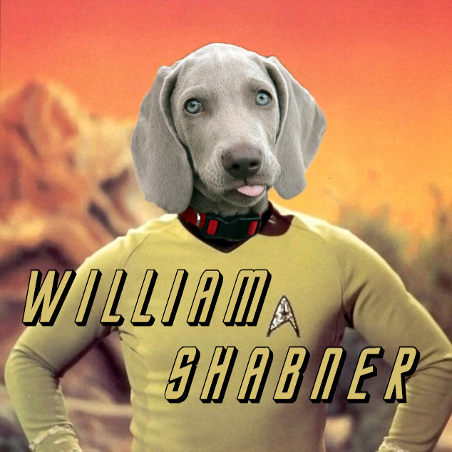 Shabby's head on William Shatner's body